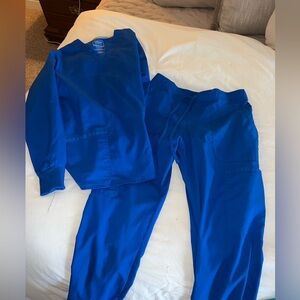 Blue long sleeve scrub top and pants! Both size small!